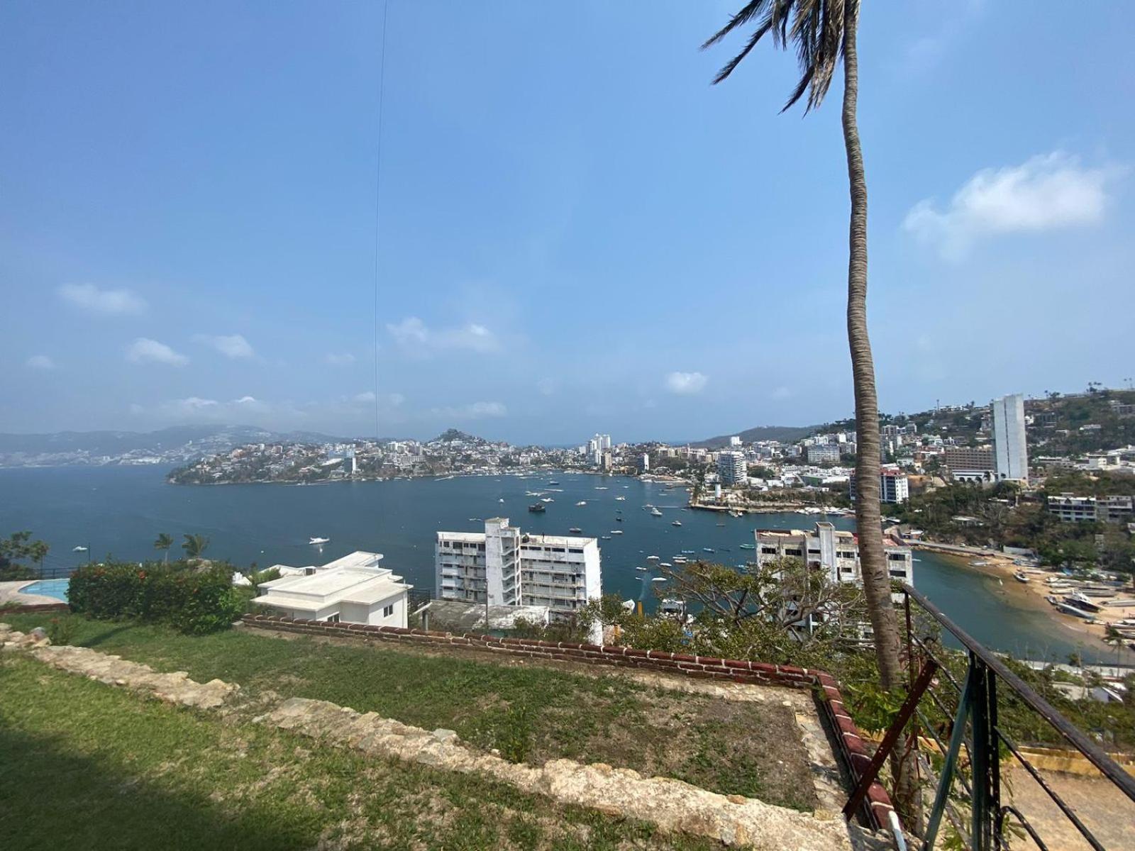 Palmas